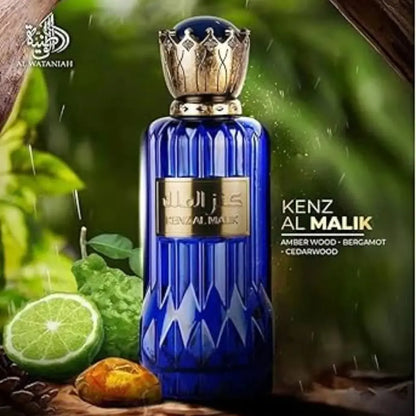 Kenz Al Malik Tech Vibe Store Imports